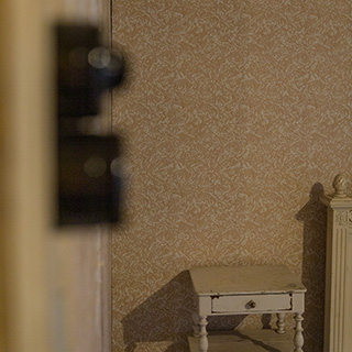 uize Nederpolder in Gent restauratie zijde wandbespanning en aanbrengen betengeling met grondpapier